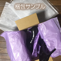 SAMPLE